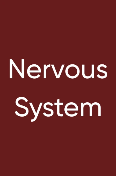 Polyvagal Theory in a Nutshell